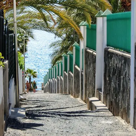Bougainvillea Bamira Maspalomas (Gran Canaria)
